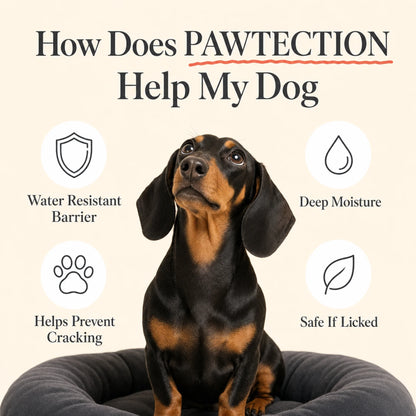 Pawtection by Gloomi