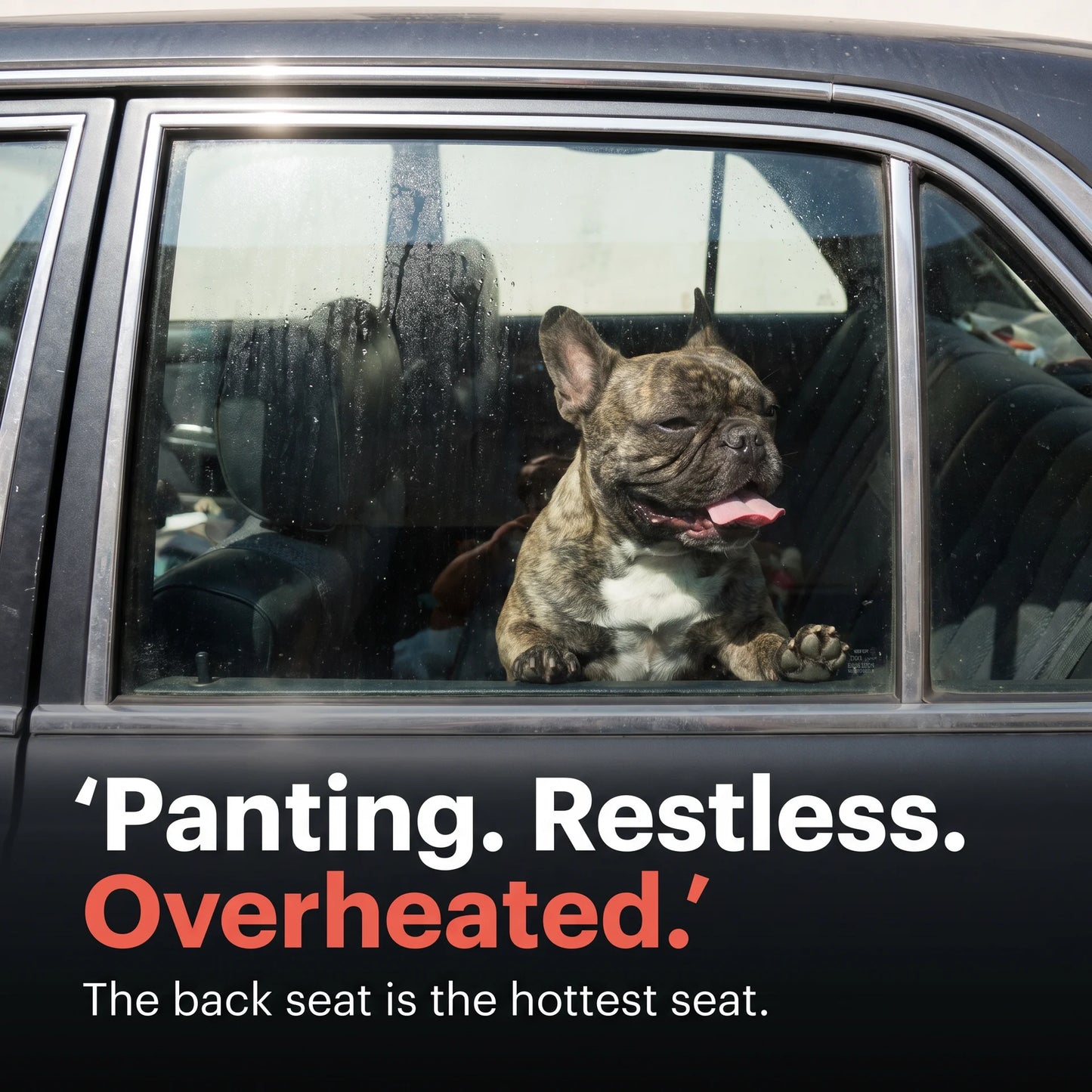 Full BackSeat Cooling Set