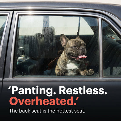 Full BackSeat Cooling Set